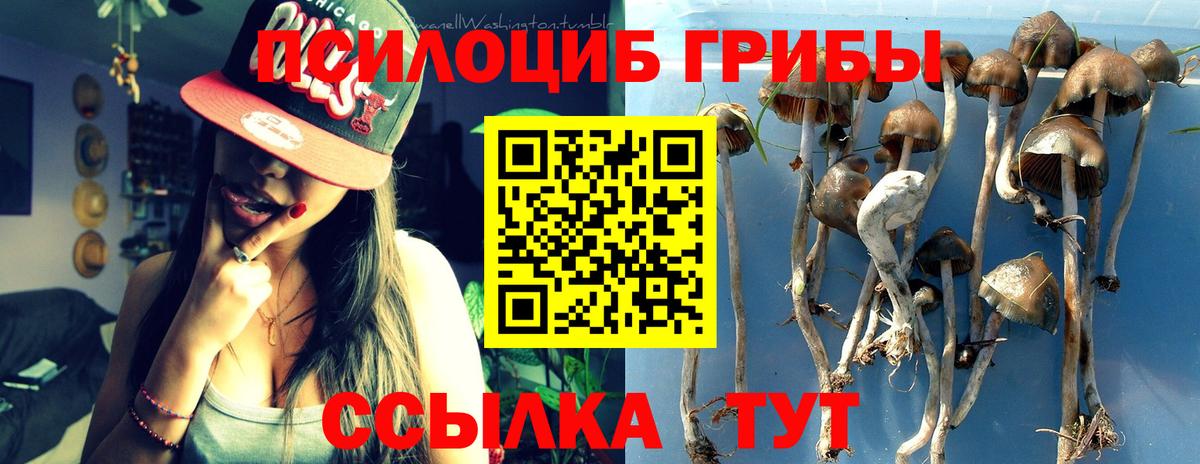 Саров  Галлюциногенные грибы Psilocybe  Вход с VPN 